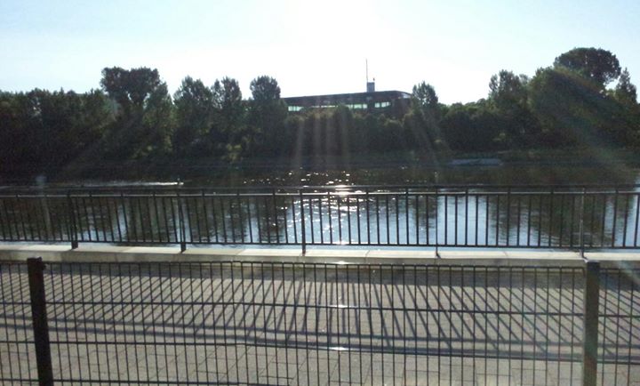 das sind Aussichten